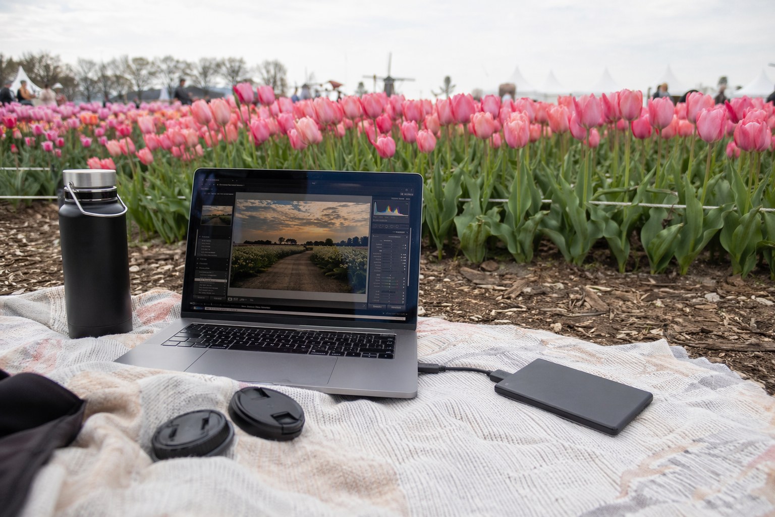 Outdoor editing setup on a picnic blanket with a laptop and a slim power bank, blooming tulips behind